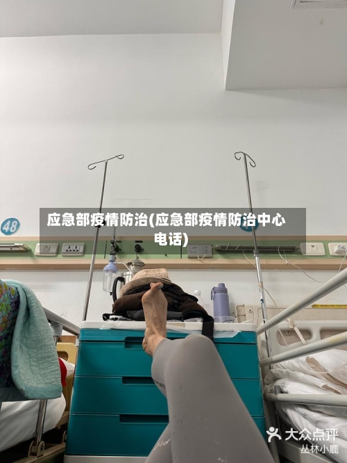 应急部疫情防治(应急部疫情防治中心电话)