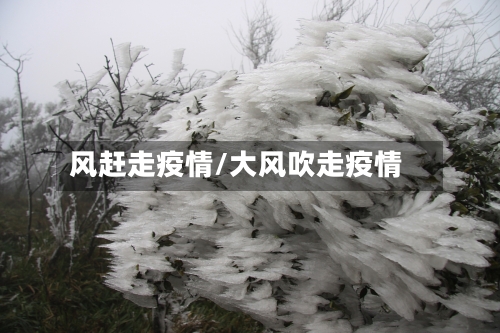 风赶走疫情/大风吹走疫情-第2张图片