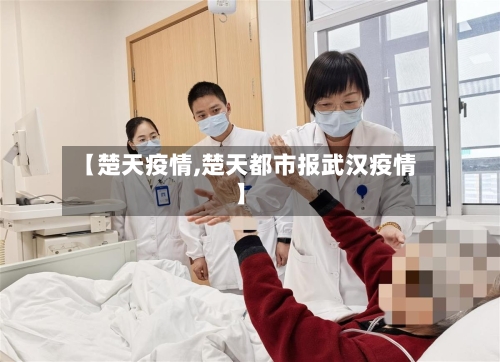 【楚天疫情,楚天都市报武汉疫情】-第2张图片