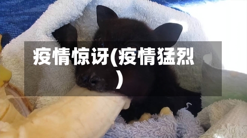 疫情惊讶(疫情猛烈)-第2张图片