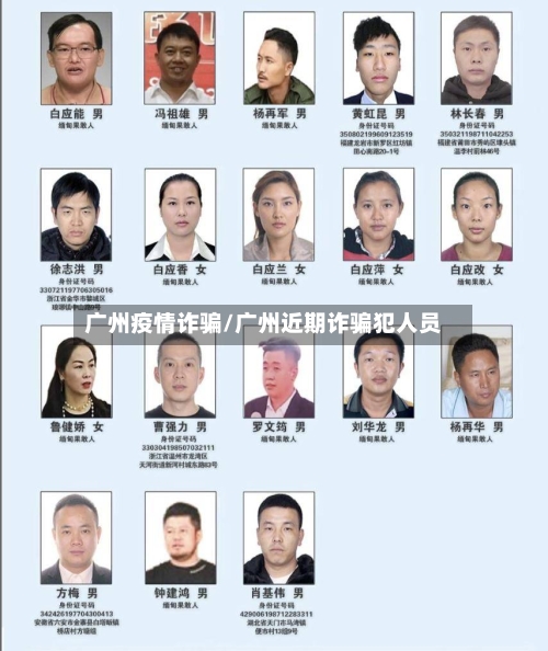 广州疫情诈骗/广州近期诈骗犯人员