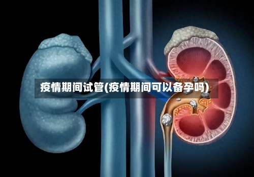 疫情期间试管(疫情期间可以备孕吗)-第3张图片