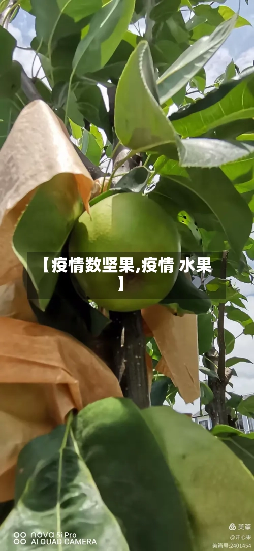 【疫情数坚果,疫情 水果】