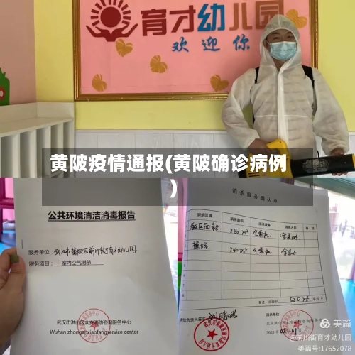 黄陂疫情通报(黄陂确诊病例)-第2张图片