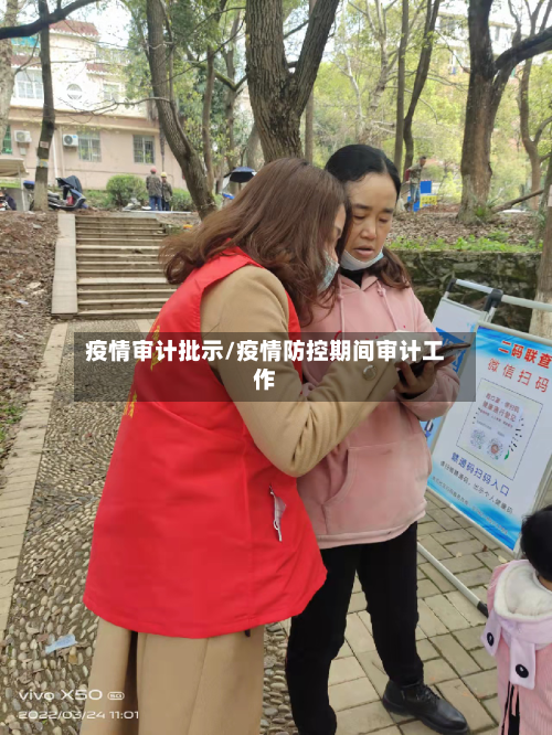 疫情审计批示/疫情防控期间审计工作-第3张图片