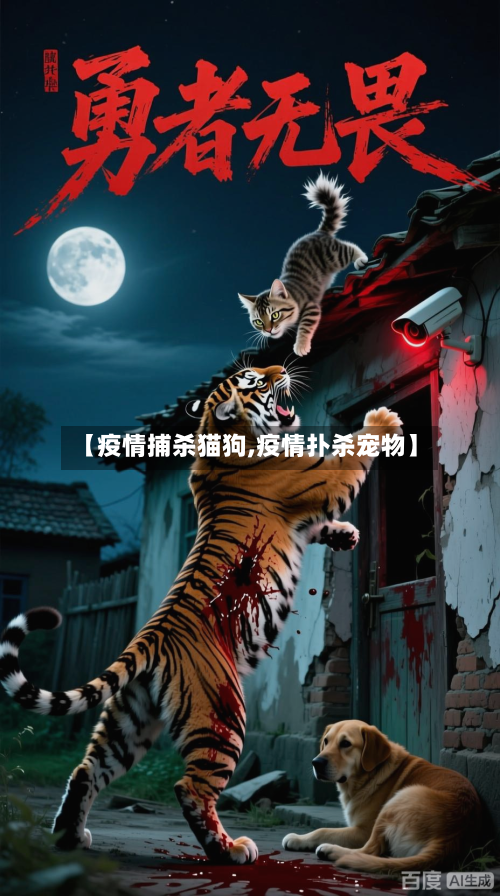【疫情捕杀猫狗,疫情扑杀宠物】-第2张图片