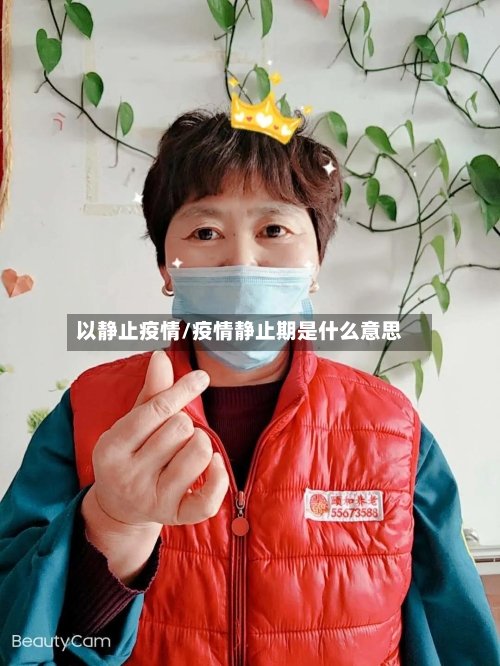 以静止疫情/疫情静止期是什么意思-第2张图片