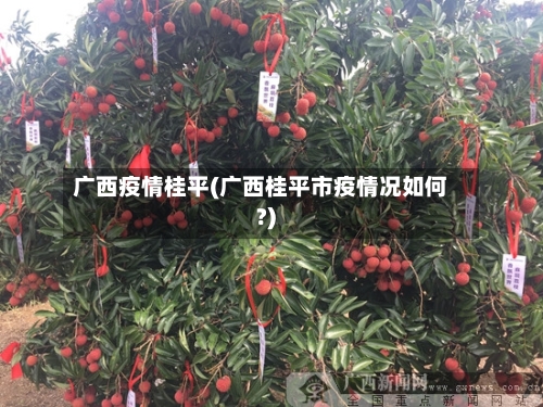 广西疫情桂平(广西桂平市疫情况如何?)-第2张图片