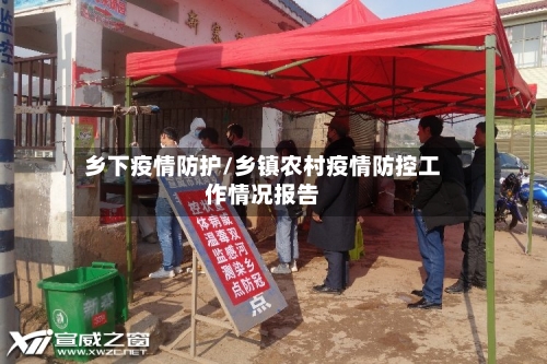 乡下疫情防护/乡镇农村疫情防控工作情况报告