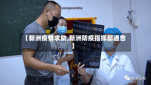【新洲疫情求助,新洲防疫指挥部通告】-第2张图片