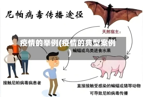 疫情的举例(疫情的典型案例)