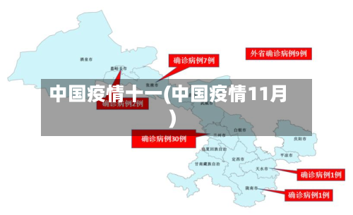 中国疫情十一(中国疫情11月)-第3张图片