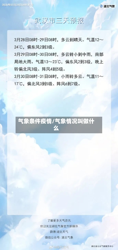 气象条件疫情/气象情况叫做什么