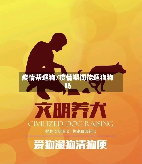 疫情帮遛狗/疫情期间能遛狗狗吗