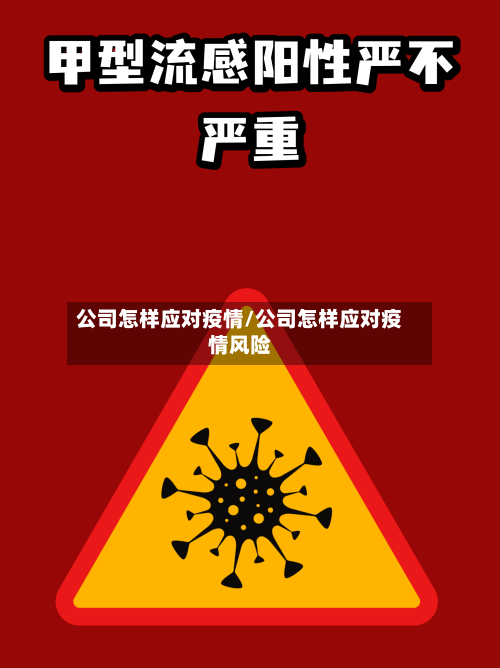 公司怎样应对疫情/公司怎样应对疫情风险