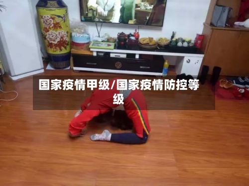 国家疫情甲级/国家疫情防控等级
