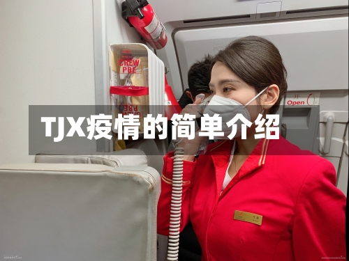 TJX疫情的简单介绍-第2张图片