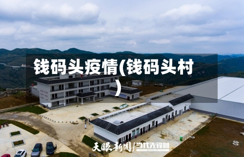 钱码头疫情(钱码头村)