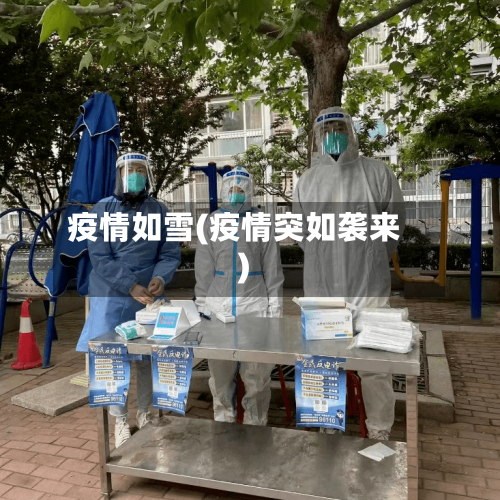 疫情如雪(疫情突如袭来)-第2张图片