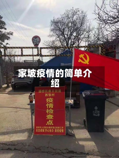 家坡疫情的简单介绍