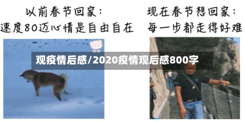 观疫情后感/2020疫情观后感800字-第2张图片