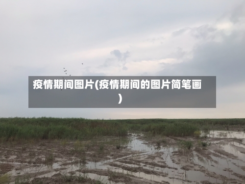 疫情期间图片(疫情期间的图片简笔画)
