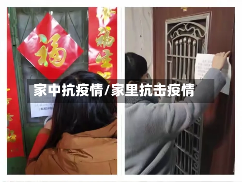 家中抗疫情/家里抗击疫情