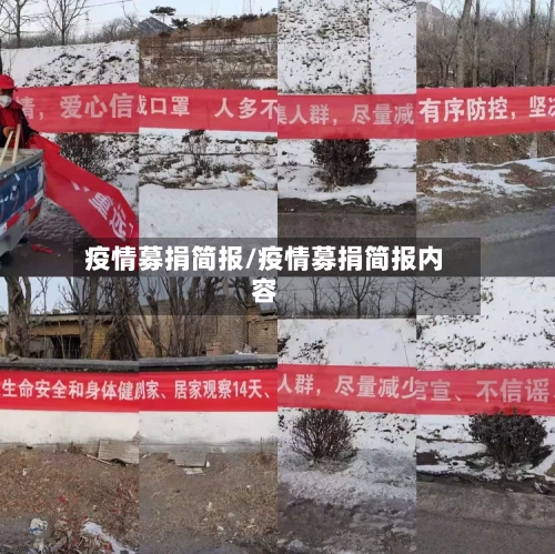 疫情募捐简报/疫情募捐简报内容-第2张图片