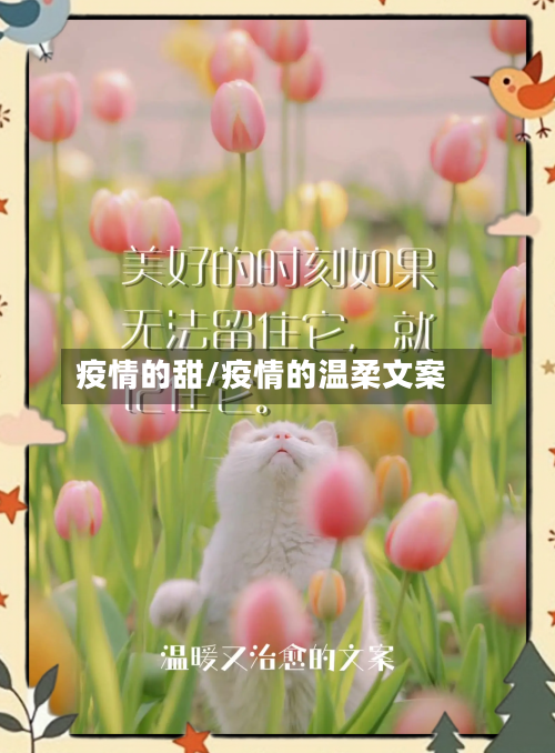 疫情的甜/疫情的温柔文案
