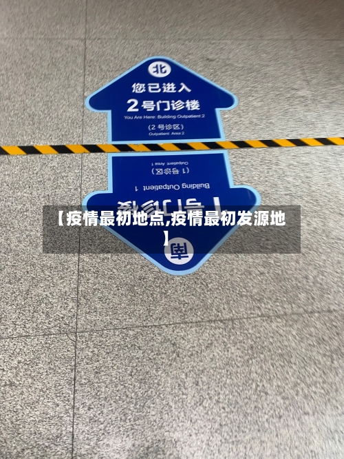 【疫情最初地点,疫情最初发源地】