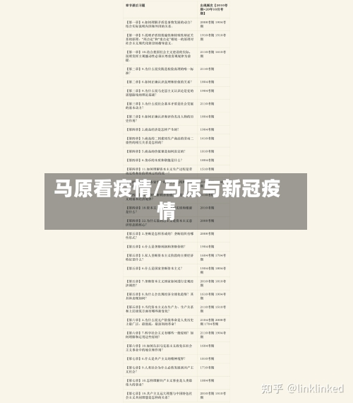 马原看疫情/马原与新冠疫情