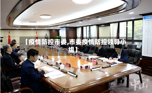 【疫情防控市委,市委疫情防控领导小组】